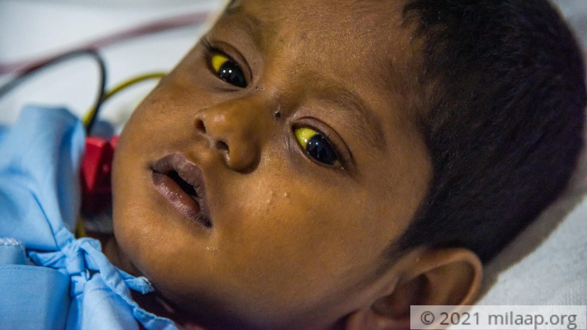 sid4378 fmpfbk 1588850636